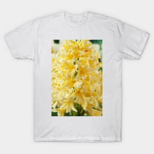 Hyacinthus orientalis  &#39;Gipsy Princess&#39;  Hyacinth T-Shirt